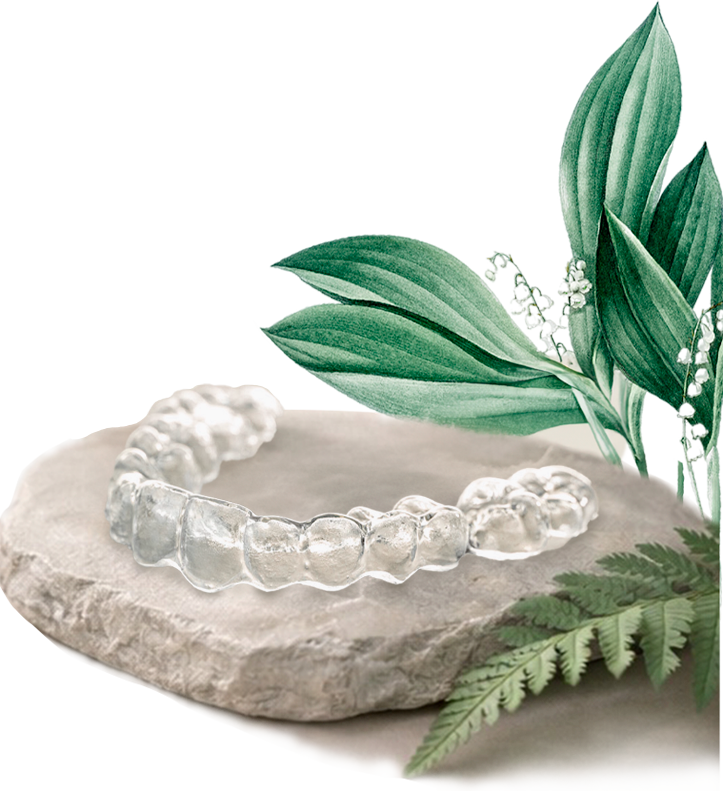 Planta Decorativa
