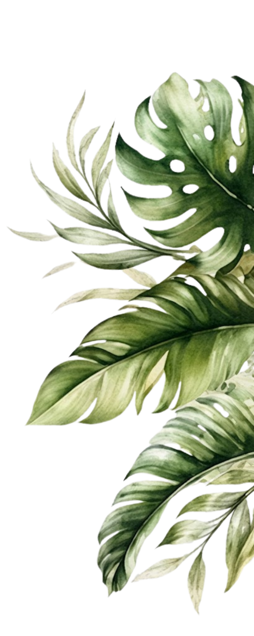 Planta Decorativa